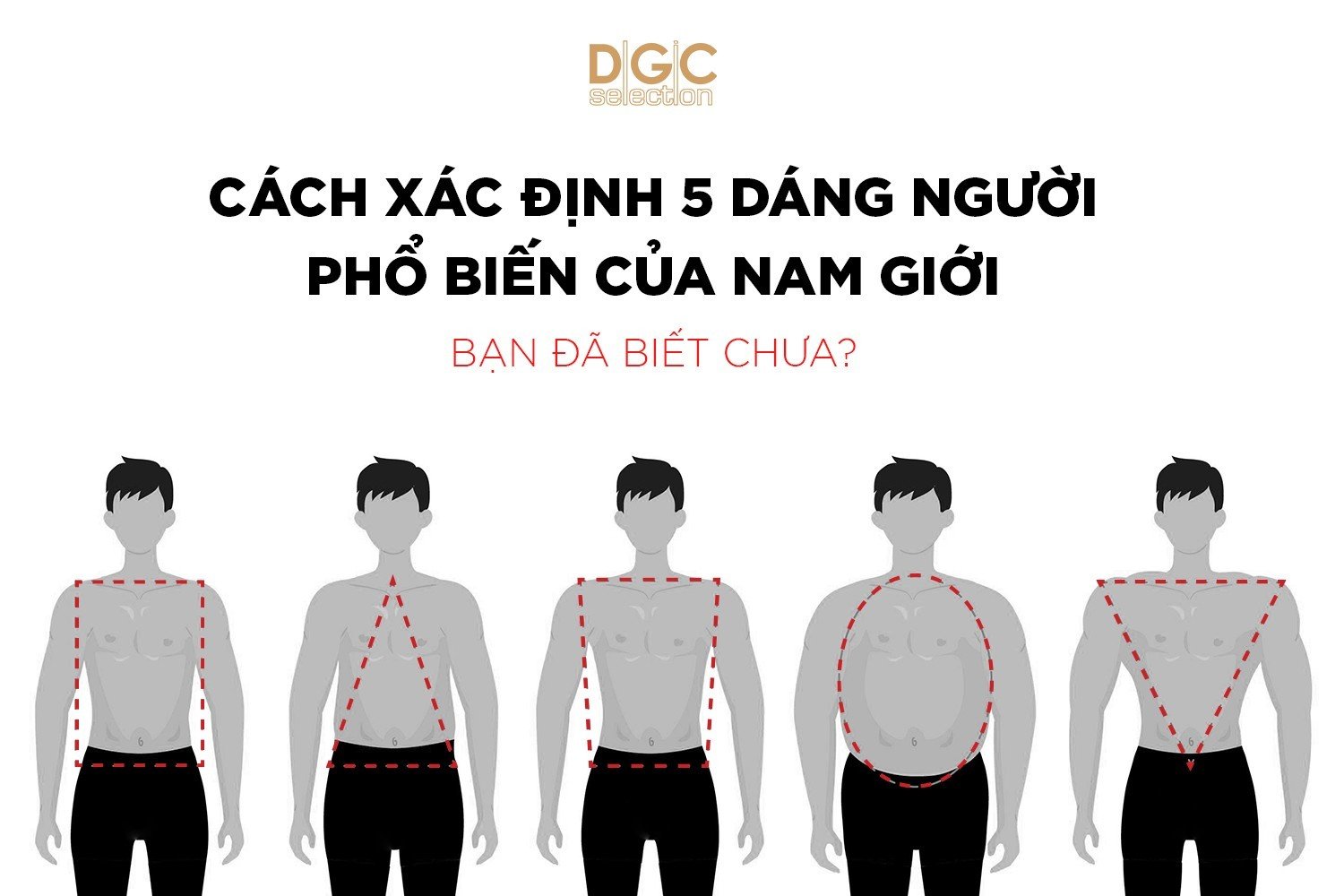 Tips phối đồ cho từng dáng người – P.4: DÁNG HÌNH OVAL
